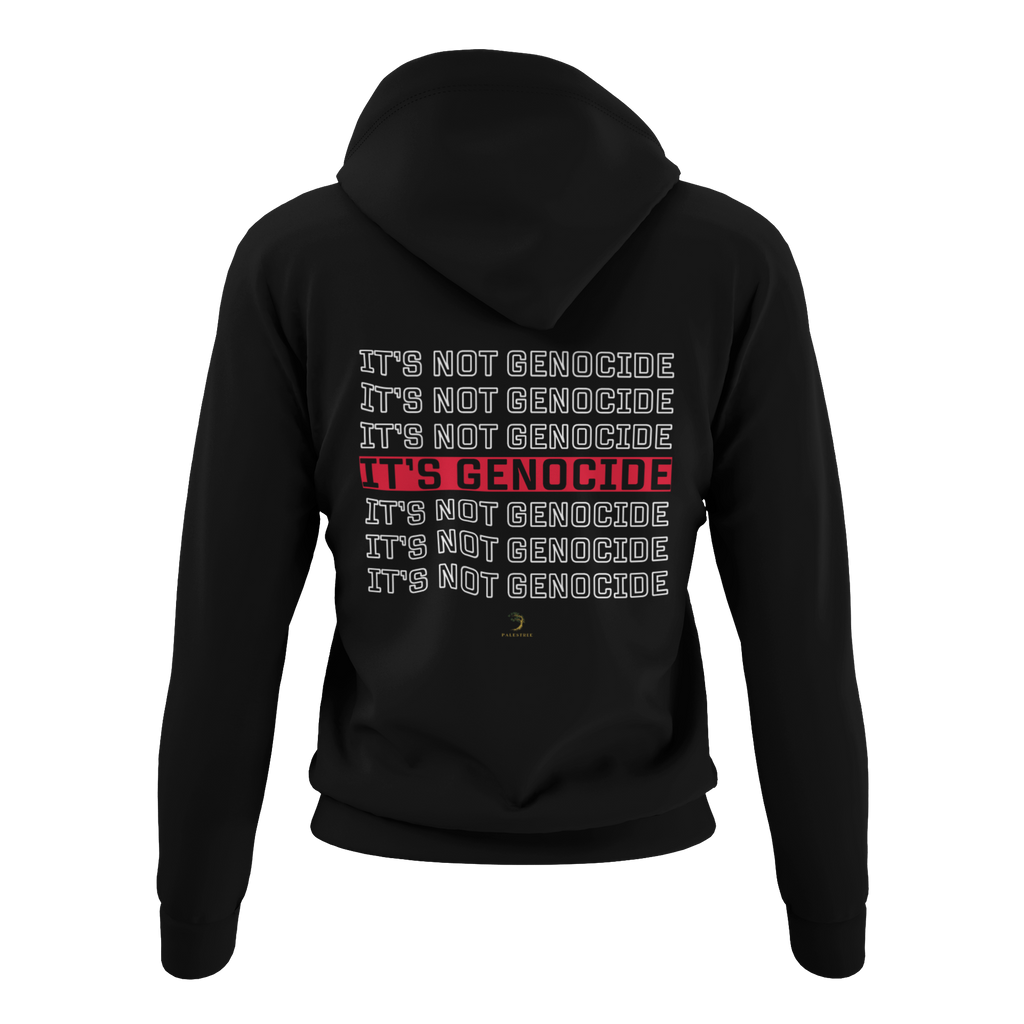 Palestine IT'S Hoodie Unisex