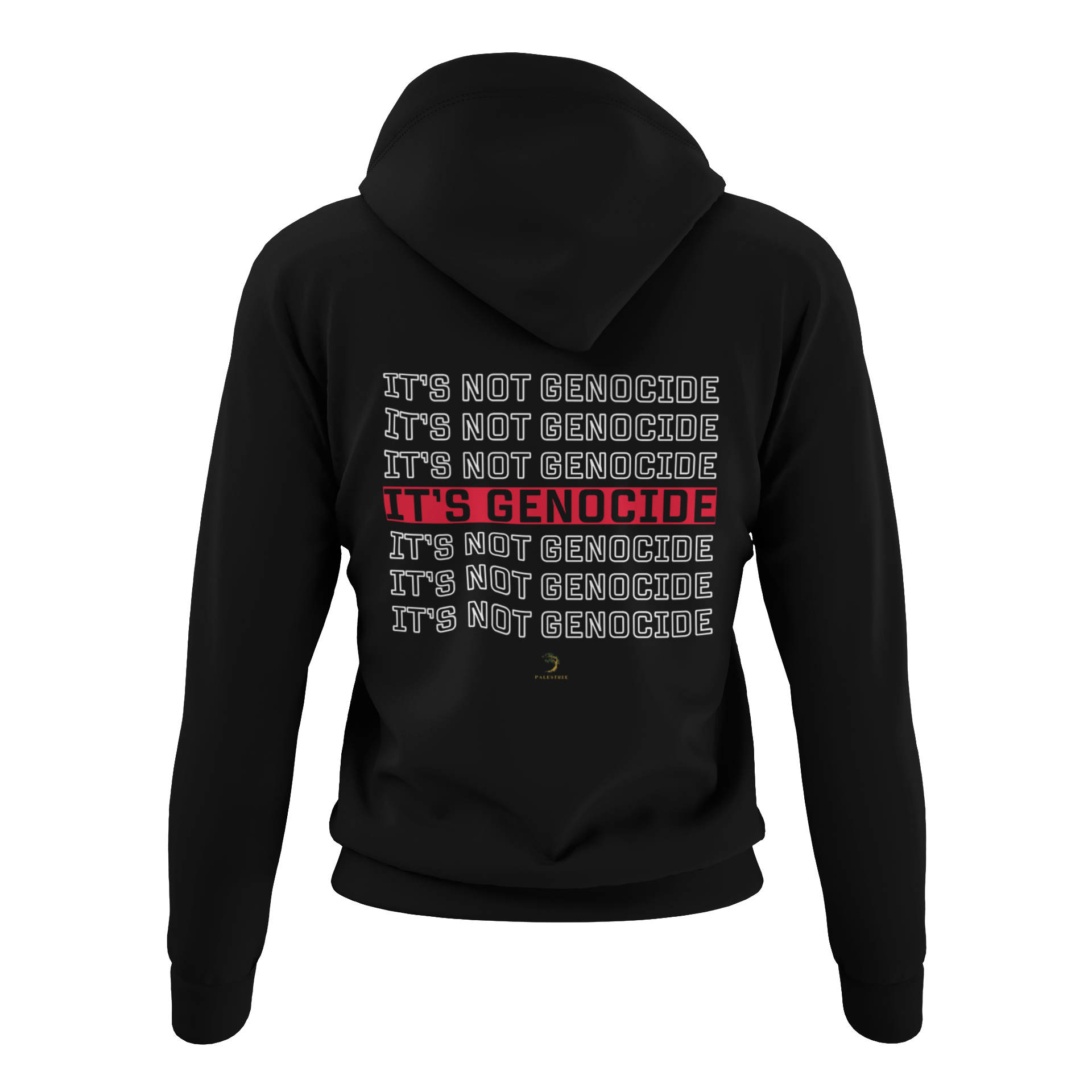 Palestine IT'S Hoodie Unisex