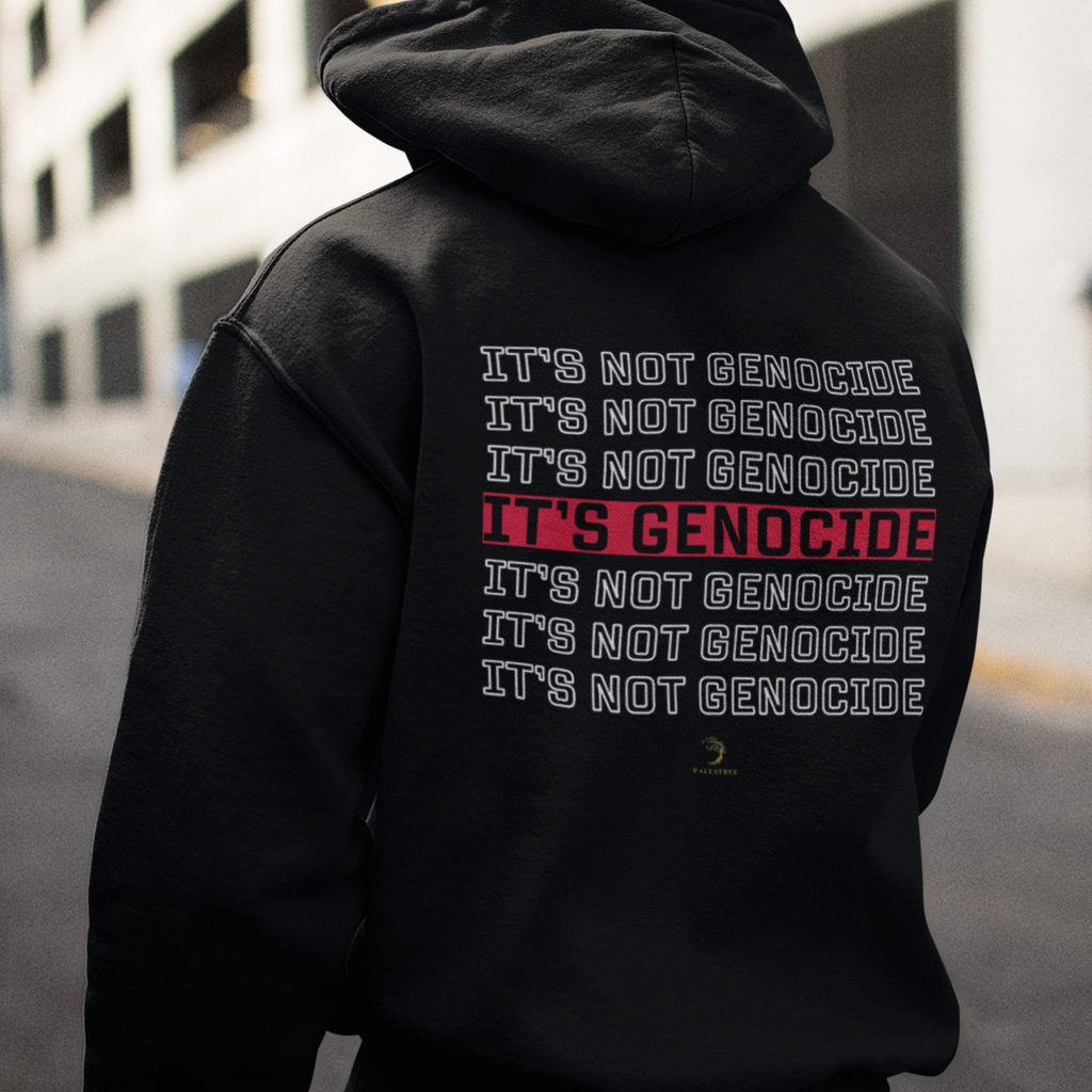 Palestine IT'S Hoodie Unisex